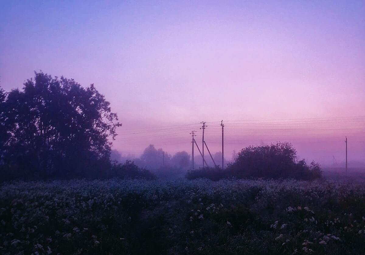 开云体育官方下载-买马挣钱网站app：开启马匹投资的新纪元，让智慧点亮收益